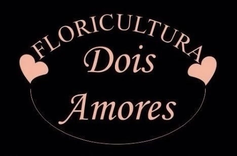Floricultura Dois Amores