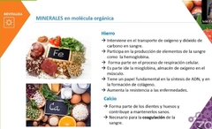 NUTRADAY - Vitaminas y minerales esenciales para chicos y grandes - tienda en línea