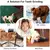 Bola de brinquedo para cães, não tóxica - comprar online