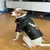 CouroPet: casaco impermeável e macio que une estilo e proteção para seu cãozinho em qualquer aventura ao ar livre. - comprar online