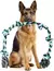 Nozão: o brinquedo de corda gigante e super resistente, feito para os cães mais fortes e mastigadores de respeito! - comprar online