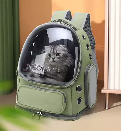 CatLook Travel - comprar online