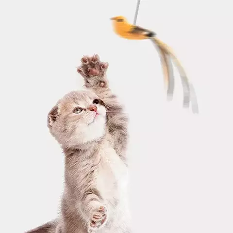 Brinquedo Voador Realista – Vara com Pássaro, Pena e Ventosa para Gatos