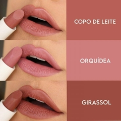 Labial en barra Miss Lary Retro en internet