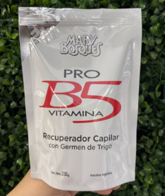Recuperador Capilar pro Vitamina B5 Mary Bosques 250gr - comprar online