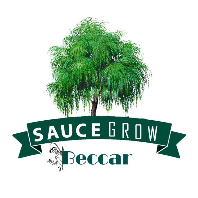 Sauce Grow Beccar