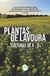 Plantas de lavoura:Culturas de A - D