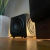 Lithe Audio Wireless Bass Speaker en internet