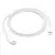 Cable Apple Original - AppleTech