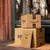 Caja de contenedores retenidos de Amazon (Ultimo contenedor - Pocas unidades) - comprar online