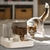 PetFlow - Fonte de Água com Alimentador Automático para Gatos - comprar online