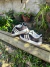Oferta 2x1 Adidas Campus - todopordospesos.store