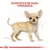 Royal Canin Chihuahua Puppy 1.13Kg - tienda en línea