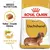 Royal Canin Dachshund Adult 1.5Kg - Gatos en Casa