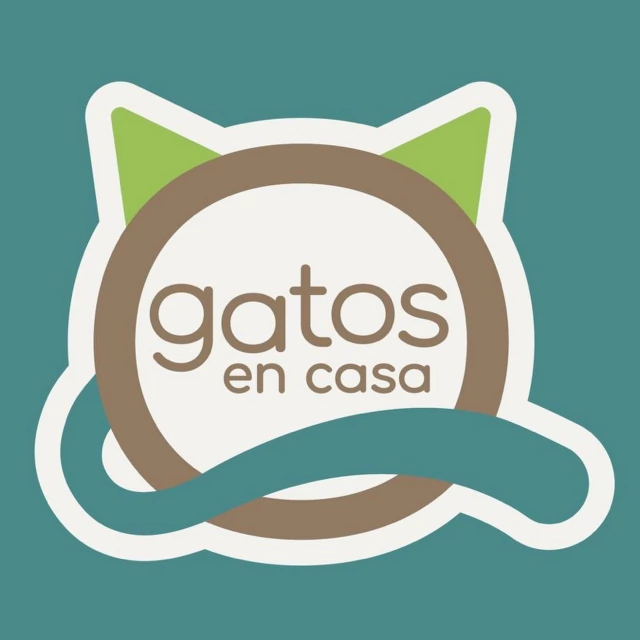 Gatos en Casa