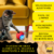 Bolinha interativo para gatos