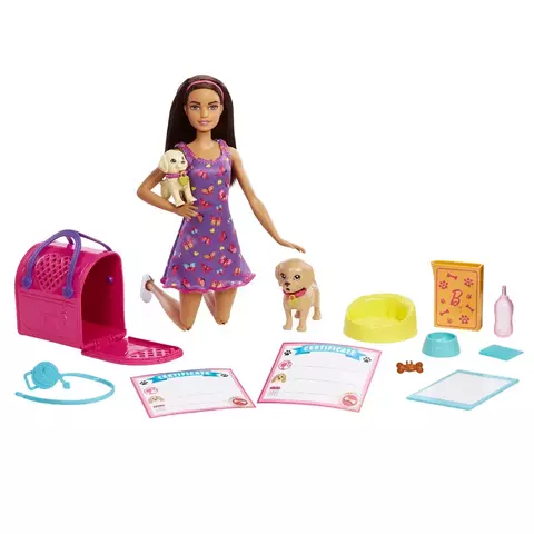 Barbie Adota Um Cachorrinho Mattel – HKD86