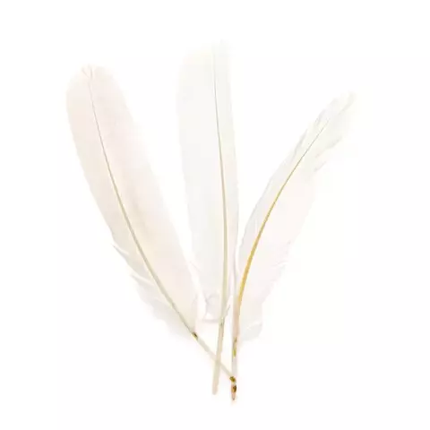 Pena Leke Leke Branca – 1 Unidade