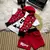 CONJUNTO TRIO BOYZINHO