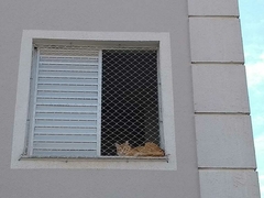 Banner da categoria Redes de Proteção