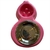 Comedero Calabaza Doble - tienda online