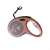 Correa Extensible Pie-Grande - Roin Pet´s