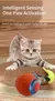 Pet provocando bola de gato brinquedo de gato inteligente bola de rolamento brin - loja online