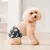 (3 unidades por pacote) Fraldas reutilizáveis para cães masculinos CuteBone, f - Zenith