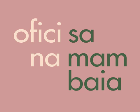 Oficina Samambaia