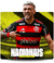 Banner de FUT BR SPORTS 
