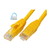 Patch Cord Cat 6 Amp Tyco Commscope Utp Certificado 1.2 Mts - ATN Comunicaciones & Sistemas