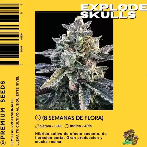Explode Skulls x3 Skull Genetics - comprar online