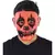 Imagen de Face Pumpkin Painted