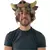 Wild Boar Helmet en internet