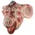 Máscara De Rt.T 418 Lab Rat - comprar en línea