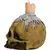 Waxed Skull en internet
