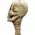 Imagen de Staffs Alien
