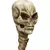 Staffs Alien - Monster House