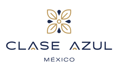 Marca 2 de Coltin Solution