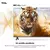 TCL LED L32S5400 FHD ANDROID TV-RV 32'' en internet