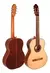 Guitarra Fonseca 65EC - comprar online