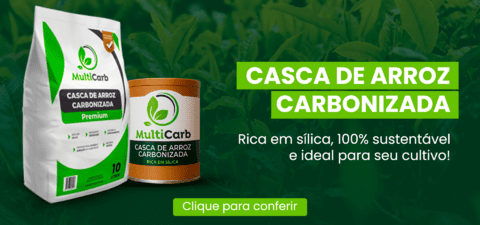Carrossel 1