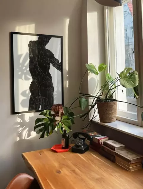 Anatomy of man I - comprar online