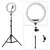 Ring Light Iluminador Led 10 Polegadas 26cm + Tripé 2,10m Profissional Blogueir - comprar online