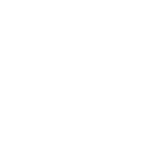 Znorte Store