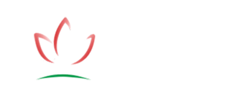 Ladora Calçados