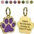 Colar personalizado com etiqueta de identificação para animais de estimação, na internet