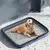 Bandeja interna retangular para cães, vaso sanitário anti-vazamento específic na internet