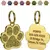 Colar personalizado com etiqueta de identificação para animais de estimação,