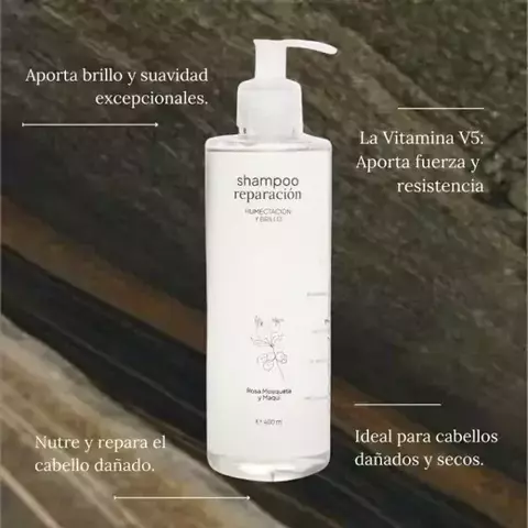 Shampoo fortalecedor Vegaplay - comprar online